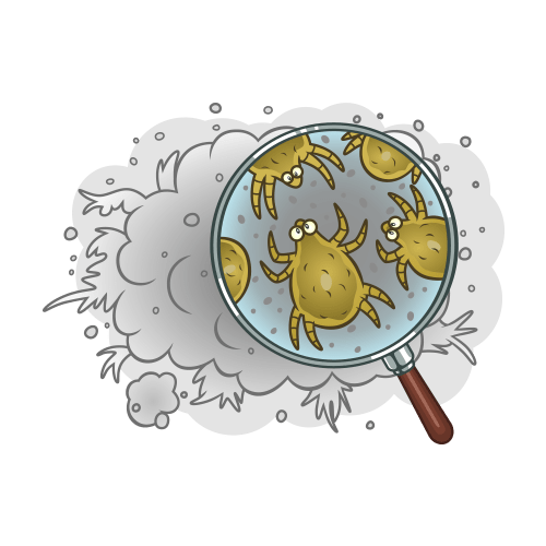 Dust Mites